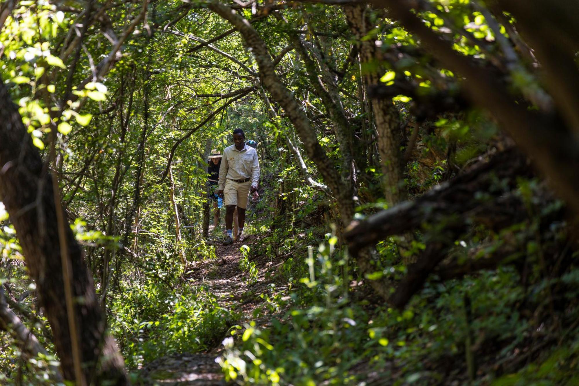 Matatane Camp - Babanango Game Reserve Nkwalini Luaran gambar